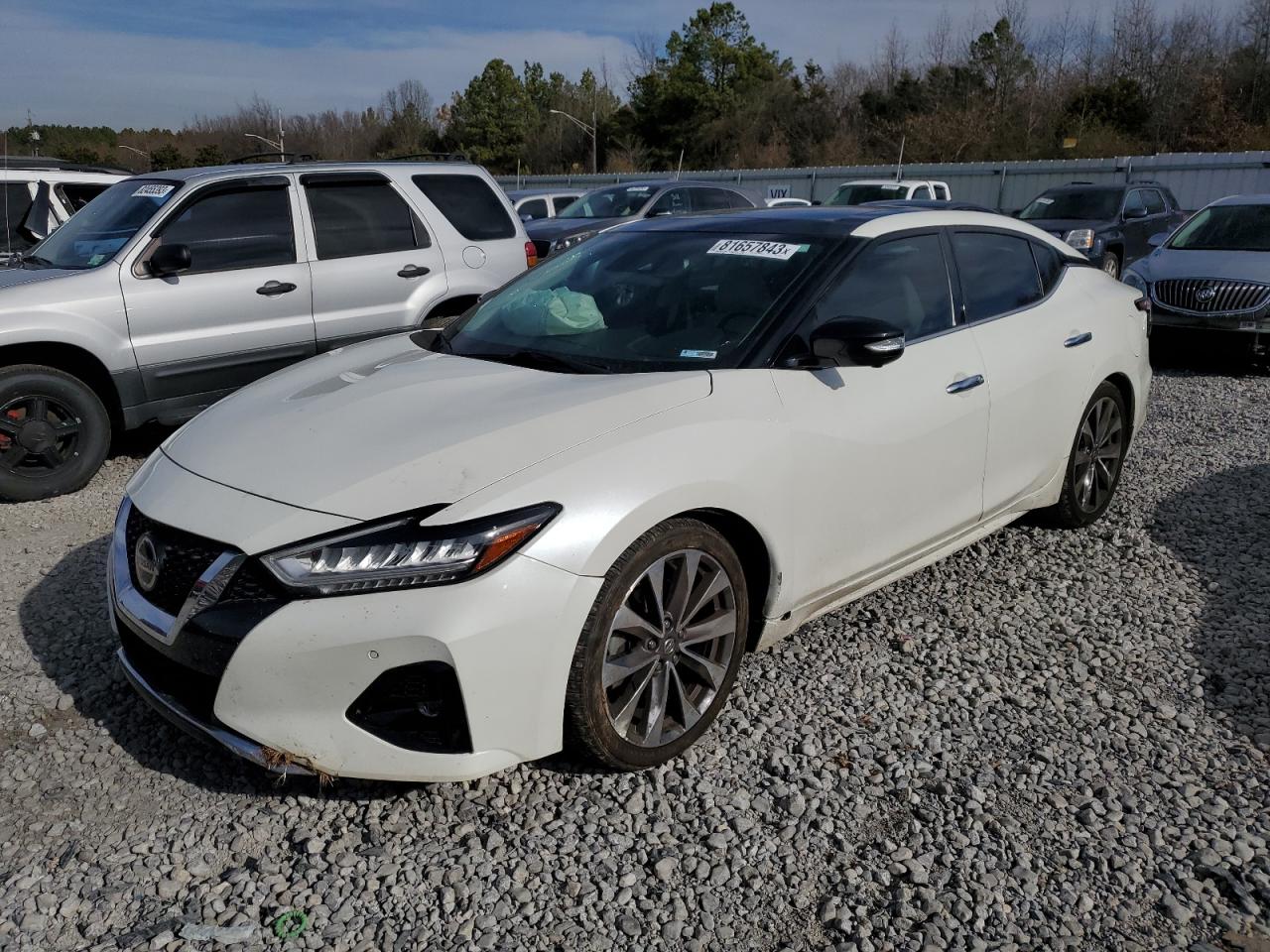 1N4AA6AV7KC372604 NISSAN MAXIMA 2019