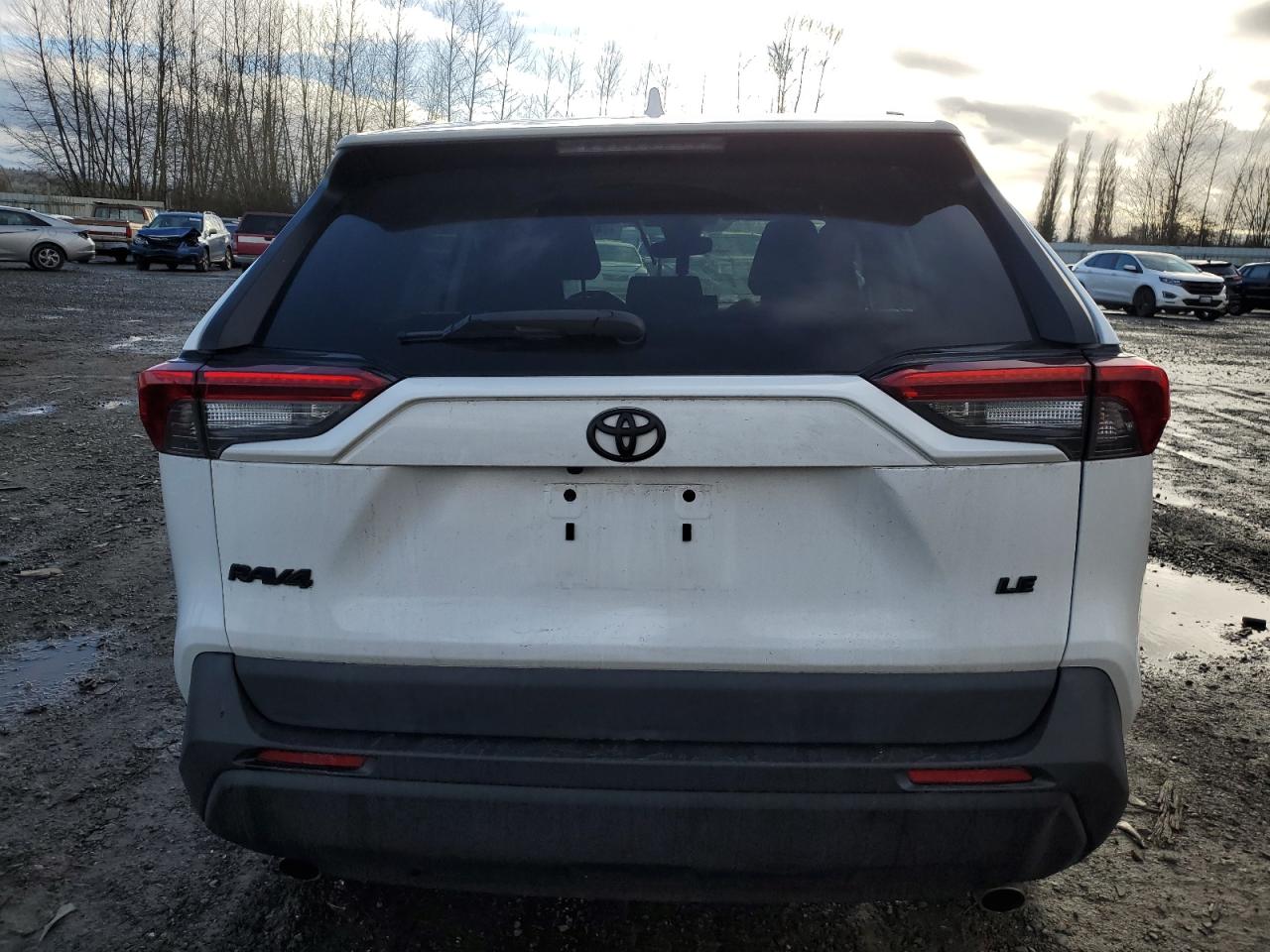 2T3H1RFV0KC031188 TOYOTA RAV4 2019