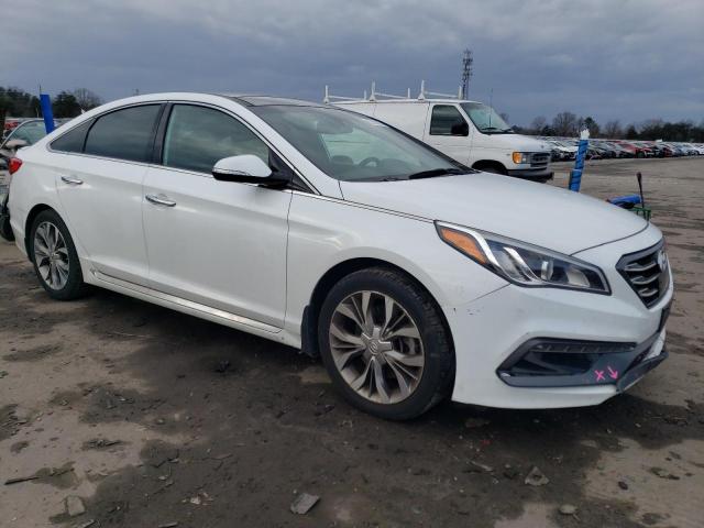 5NPE34AB6HH461562 | 2017 HYUNDAI SONATA SPO