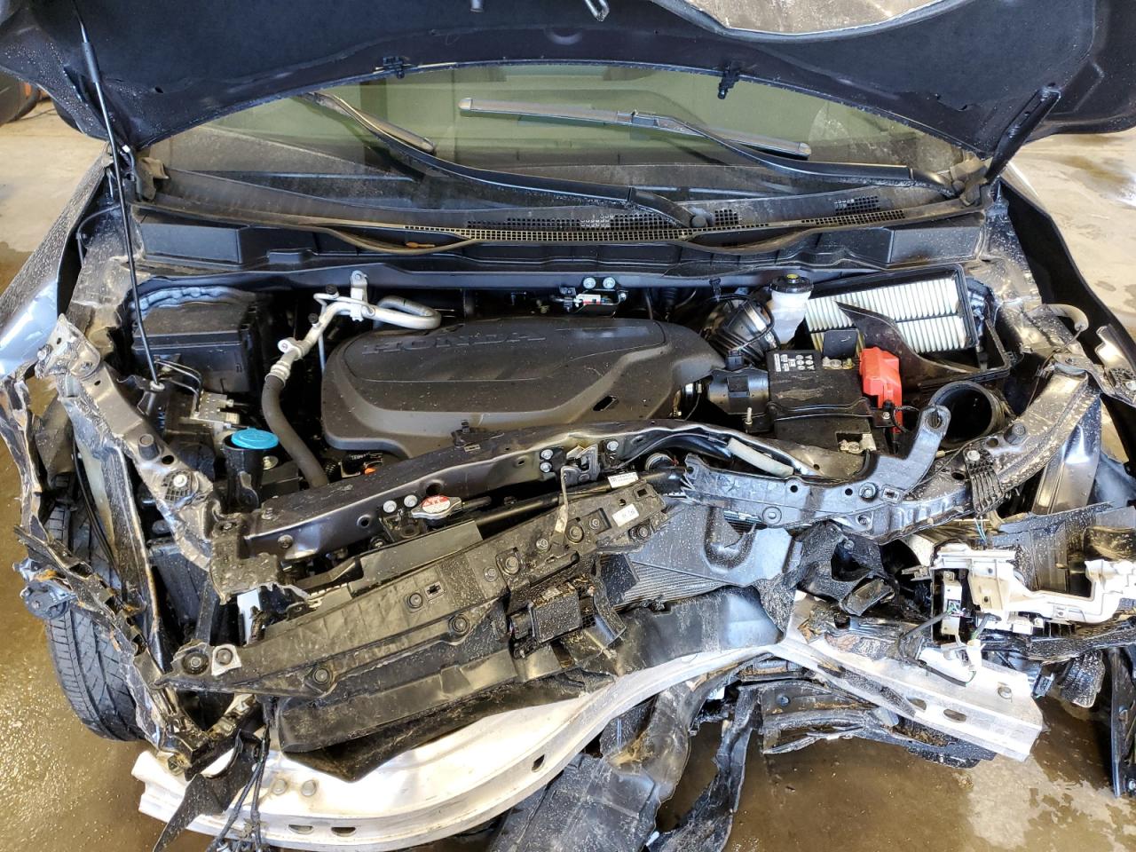 5FNRL6H67RB018195 HONDA All Models 2024