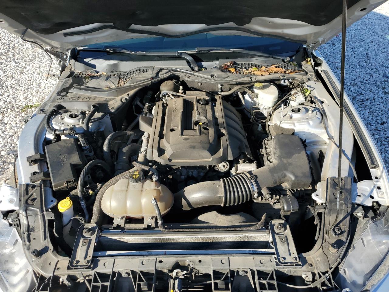 1FA6P8THXJ5118928 FORD ALL Models 2018