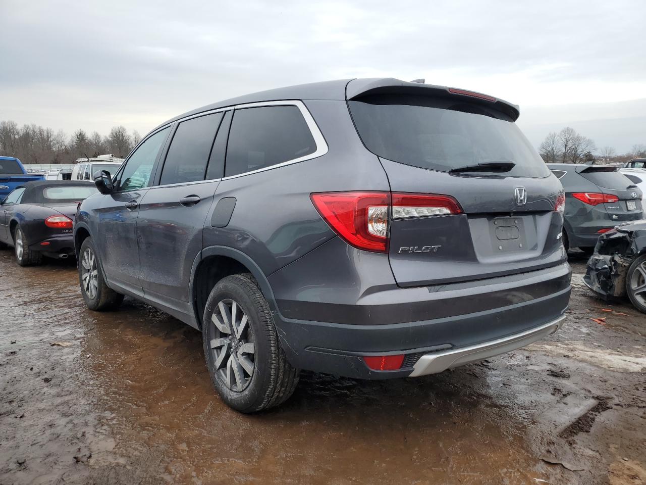 5FNYF6H59KB067415 HONDA PILOT 2019