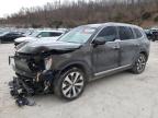 2022 KIA TELLURIDE - 5XYP6DHC7NG316354