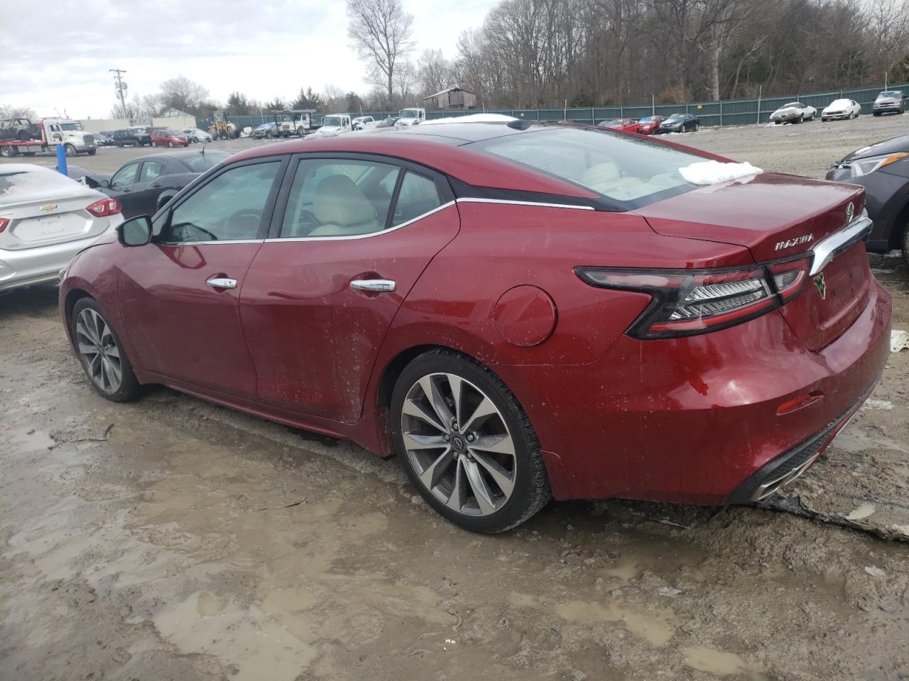 1N4AA6FV6PC502808 NISSAN MAXIMA 2023