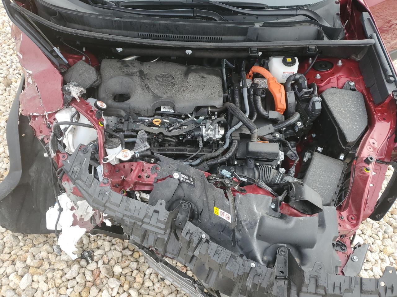 4T3D6RFV6PU124576 TOYOTA RAV4 2023