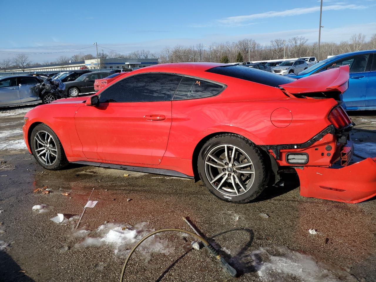 1FA6P8TH6H5221144 FORD ALL Models 2017