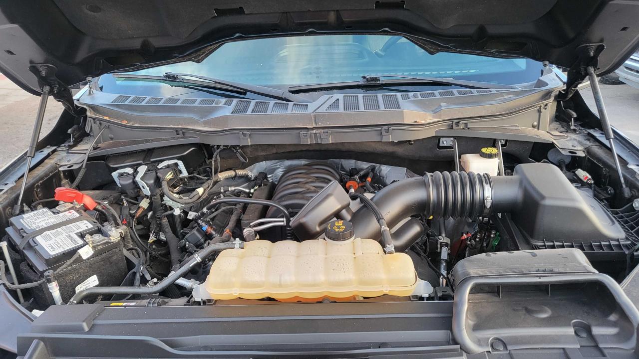1FTFW1E52MFA41932 FORD F-150 2021