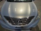 Lot #2325226618 2013 HYUNDAI SONATA SE