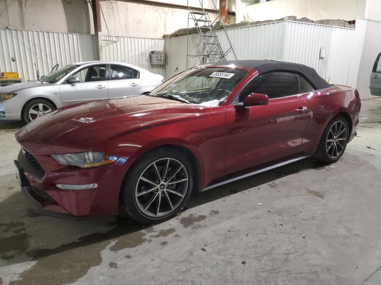 1FATP8UH6K5159883 FORD ALL Models 2019