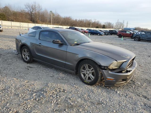 1ZVBP8AM0E5318907 | 2014 FORD MUSTANG