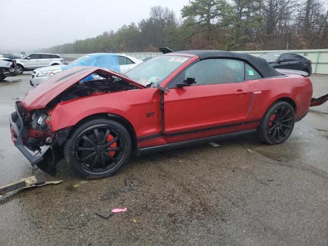 Lot #2443343069 2010 FORD MUSTANG GT salvage car