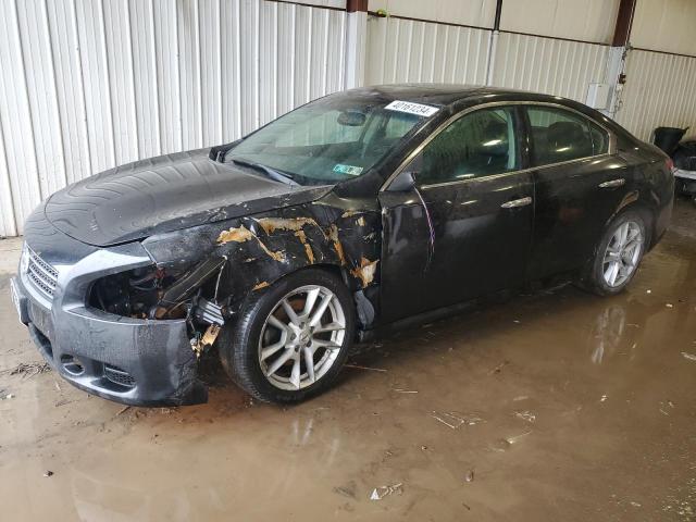 Nissan Maxima