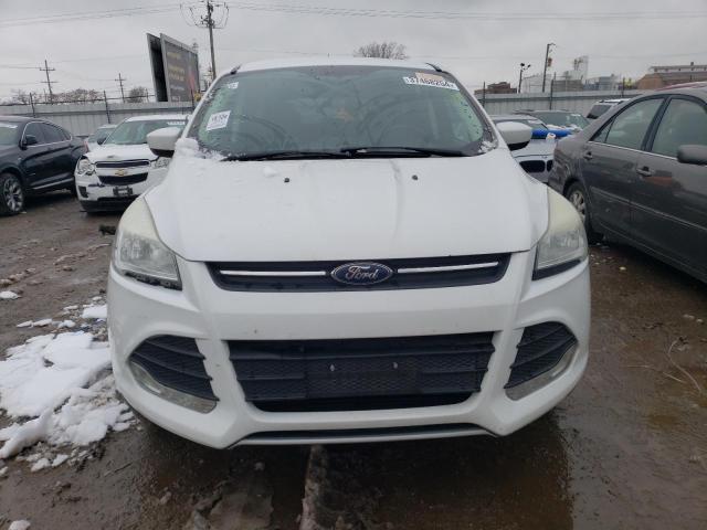 1FMCU0GX1EUE14467 | 2014 FORD ESCAPE SE