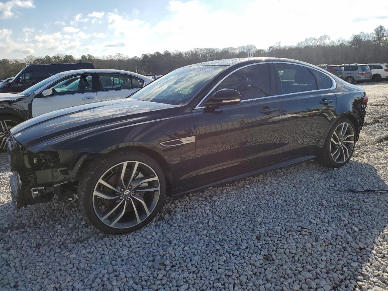 SAJB64FX2RCY94227 JAGUAR XF R-DYNAM 2024