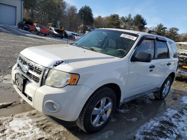 2009 Ford Escape XLT