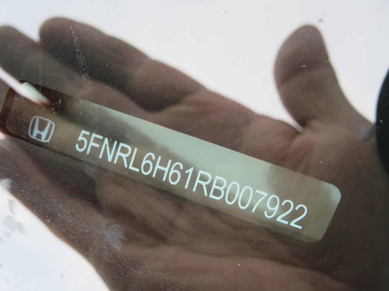 5FNRL6H61RB007922 HONDA All Models 2024