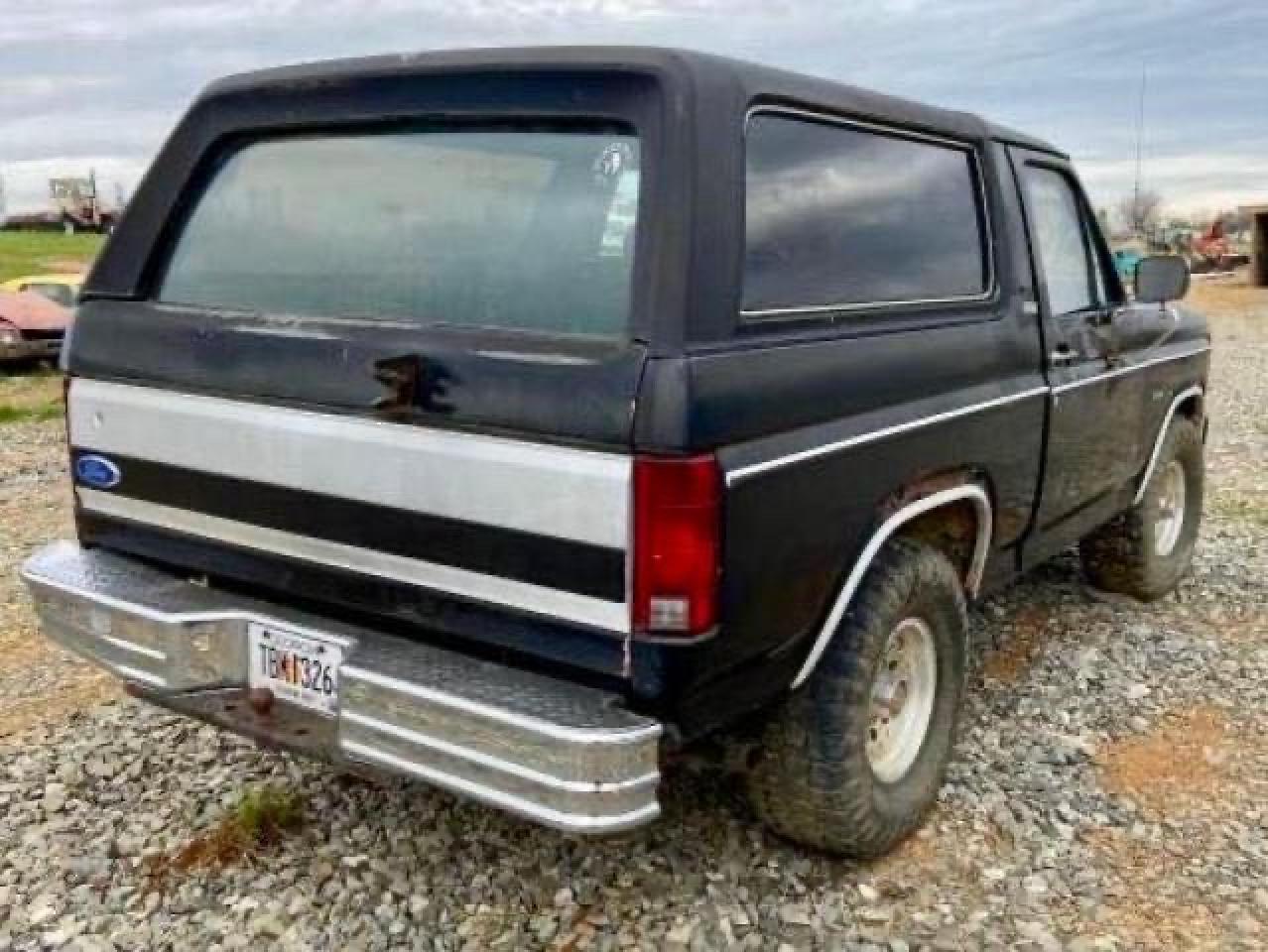 1FMEU15F1CLA33567 1982 Ford Bronco U100