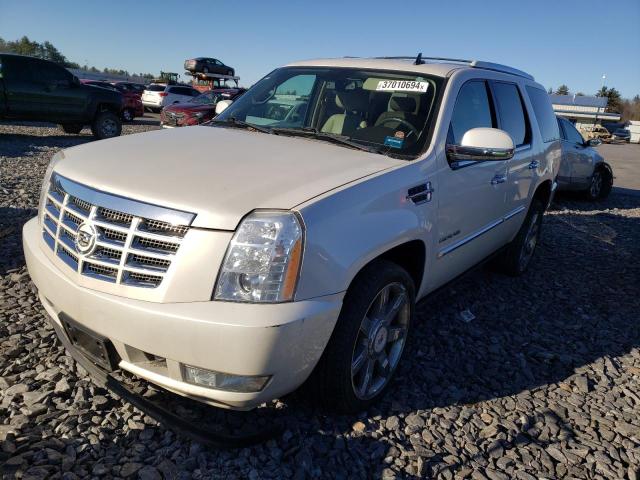 2010 Cadillac Escalade Premium