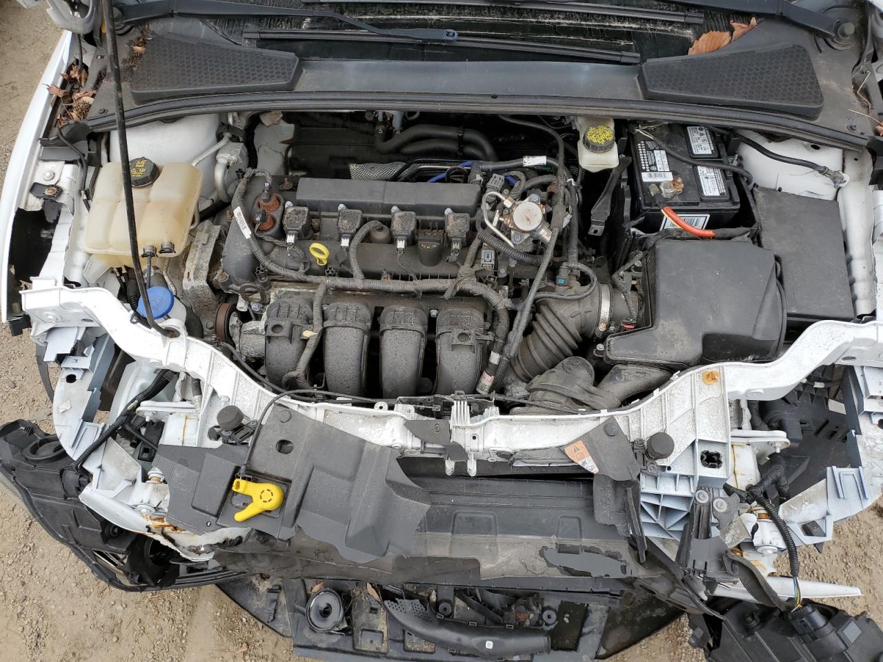 1FADP3K26HL259542 FORD FOCUS 2017