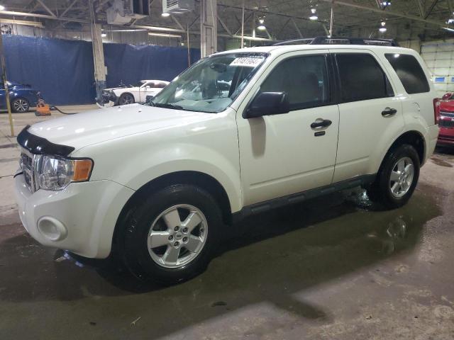 2009 Ford Escape XLT