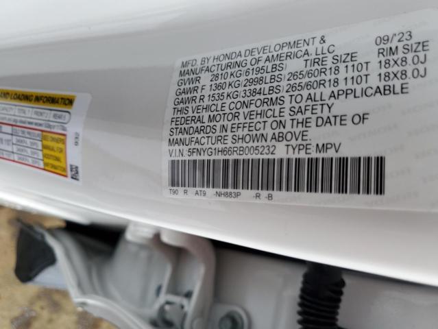 2024 HONDA PILOT TRAI 5FNYG1H66RB005232
