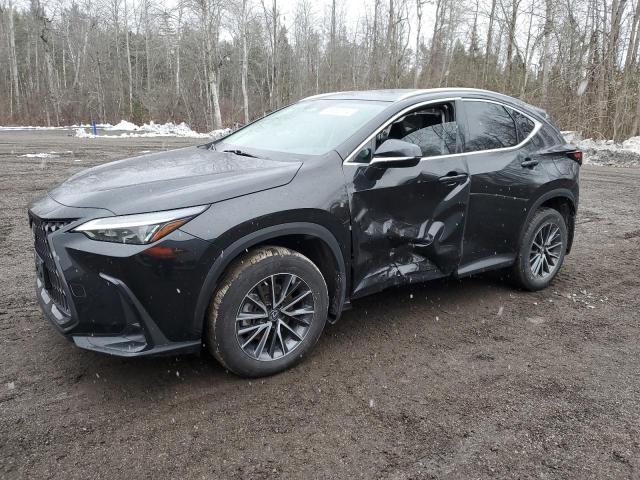  LEXUS NX 250 2023 Черный