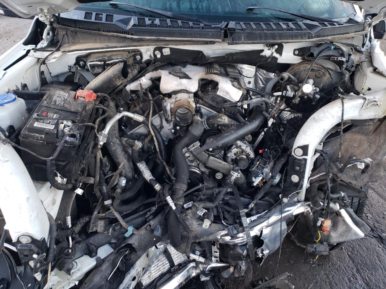 1FTFW1E41KKE96752 FORD F-150 2019
