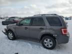 FORD ESCAPE XLT photo