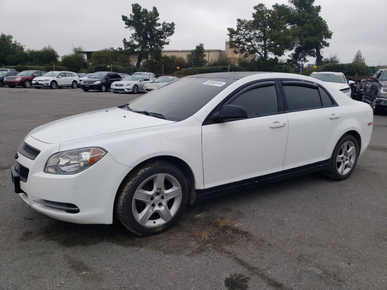 1G1ZA5EB3AF301560 2010 Chevrolet Malibu Ls