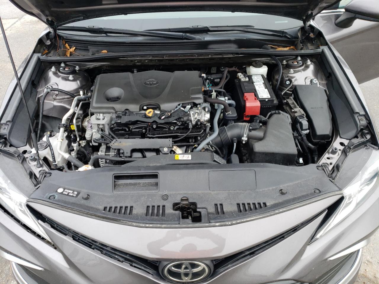 4T1C11AK1MU464666 TOYOTA CAMRY 2021