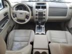 FORD ESCAPE XLT photo