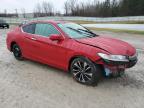 HONDA ACCORD EX photo