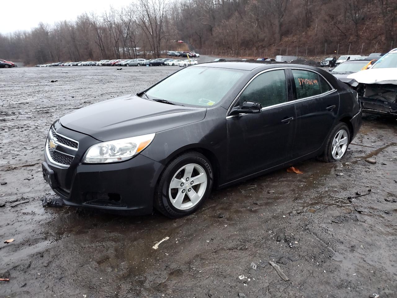 1G11C5SA8DF196697 2013 Chevrolet Malibu 1Lt