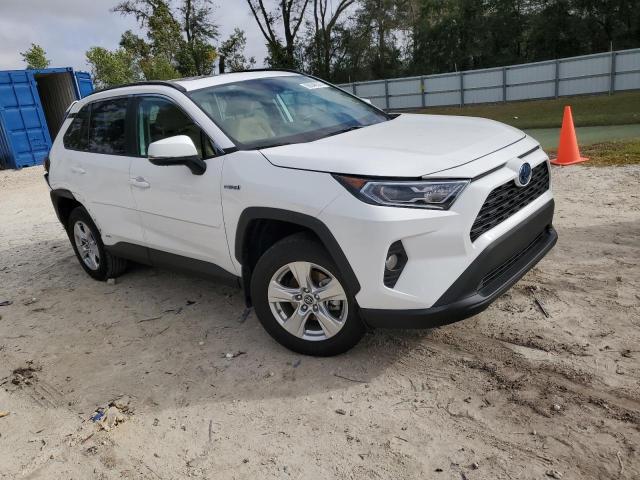 2T3RWRFV5KW040117 | 2019 TOYOTA RAV4 XLE