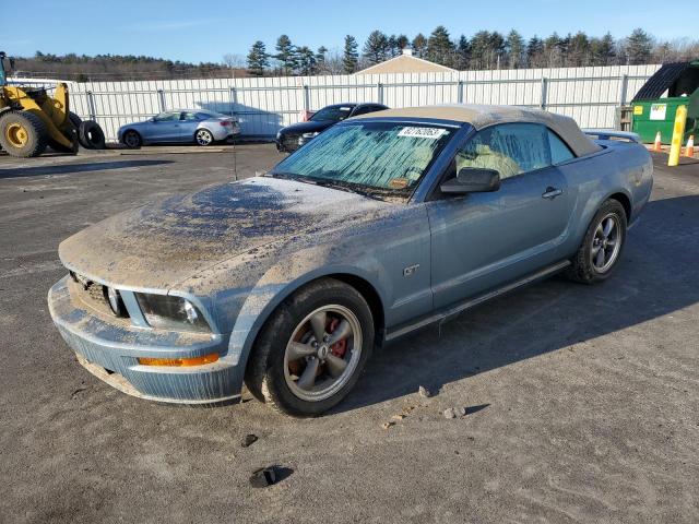 Lot #2420844396 2005 FORD MUSTANG GT salvage car