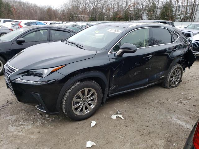 2021 Lexus NX 300h Base