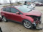 Lot #2526755150 2013 FORD ESCAPE SEL