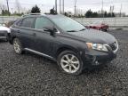 LEXUS RX 350 photo