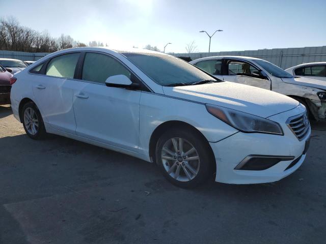 5NPE24AF4HH564176 | 2017 HYUNDAI SONATA SE