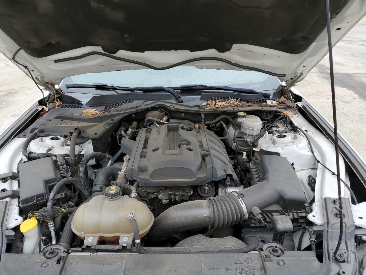 1FA6P8THXJ5182905 FORD ALL Models 2018