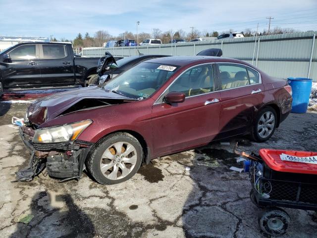 2008 Honda Accord Coupe EX-L