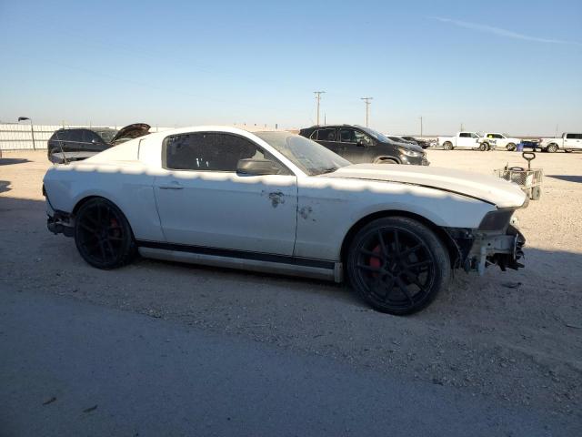 1ZVBP8AM3E5311353 | 2014 FORD MUSTANG