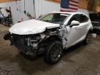 2020 LEXUS NX 300 - JTJDARDZ7L2218549