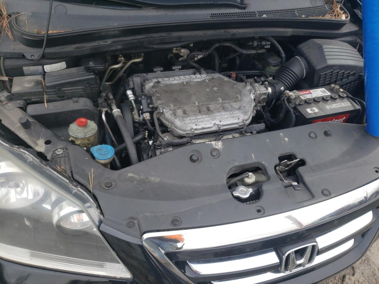 5FNRL38796B443551 2006 Honda Odyssey Exl