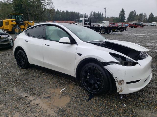 5YJYGDEE8MF195878 | 2021 TESLA MODEL Y