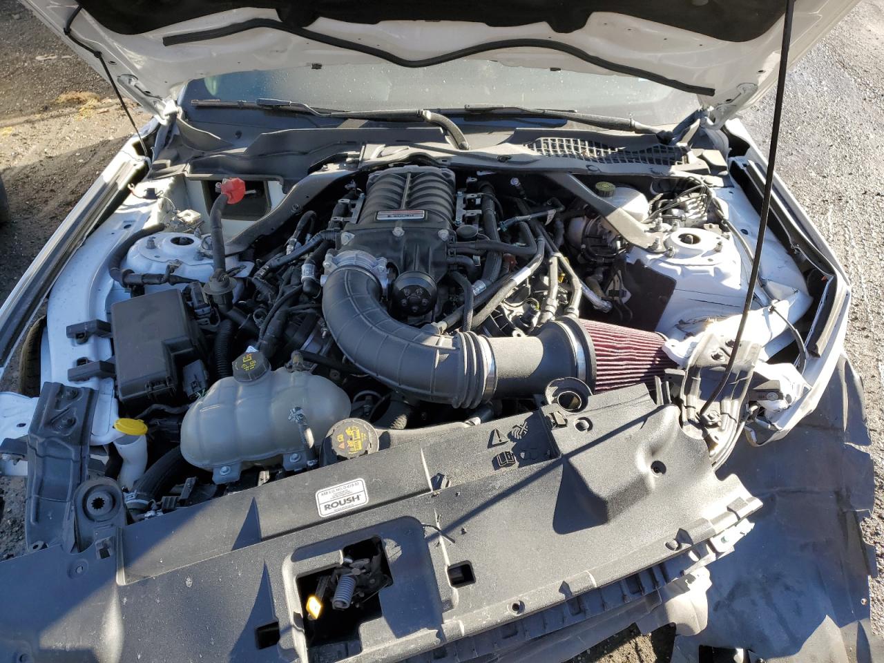 1FA6P8CF1K5165877 FORD MUSTANG 2019