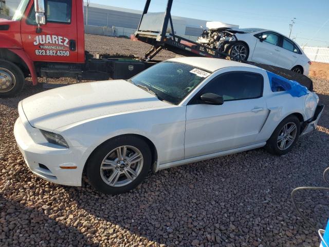 1ZVBP8AM7E5254915 | 2014 FORD MUSTANG