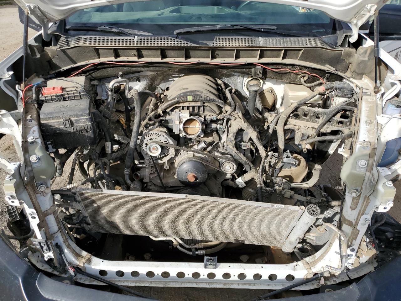 3GCNYAEF7LG166503 CHEVROLET ALL Models 2020