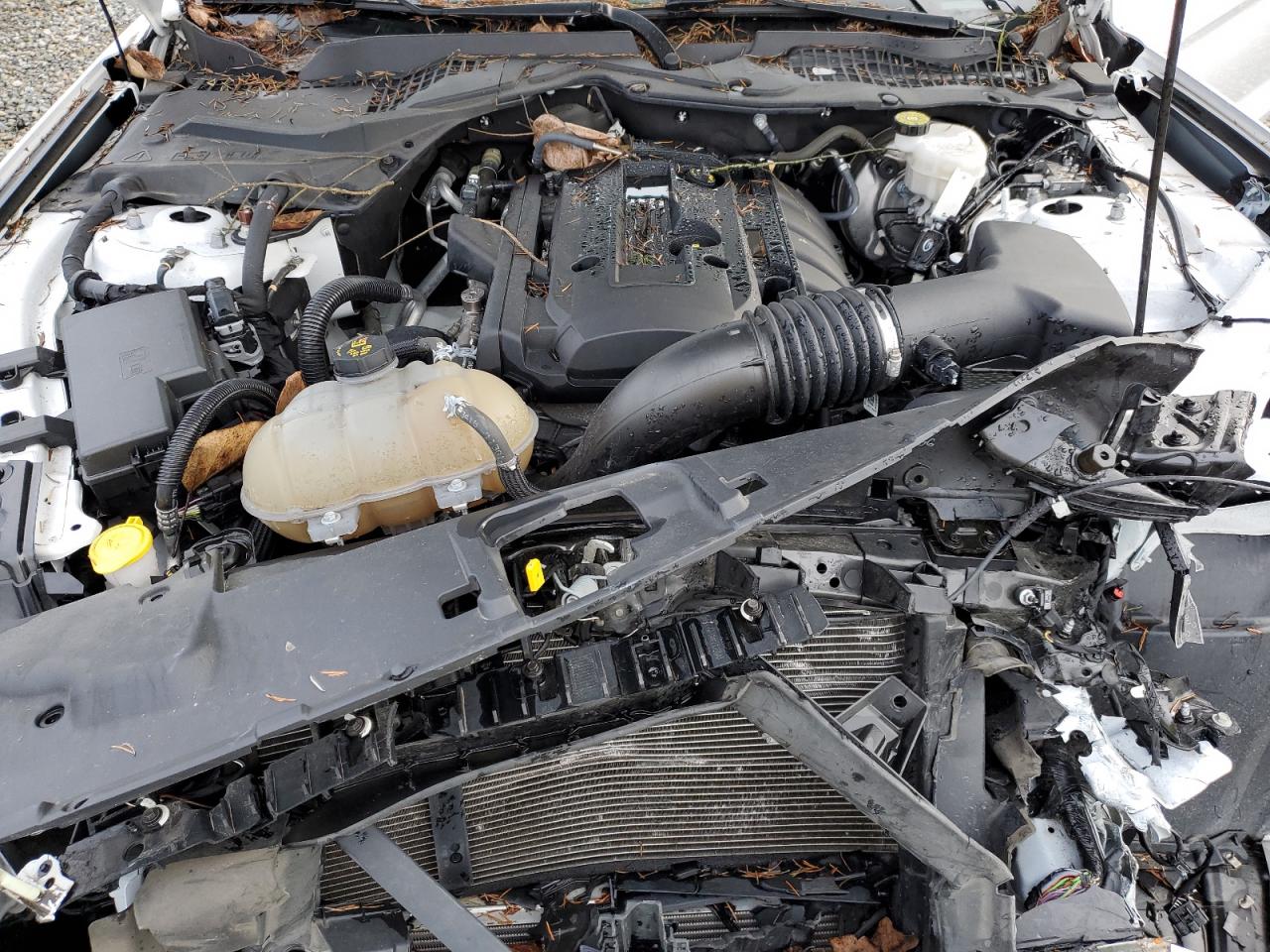 1FA6P8TH1K5148398 FORD ALL Models 2019