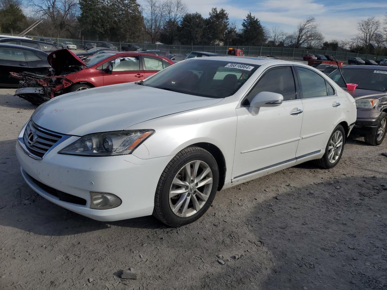 Lot #2819029270 2011 LEXUS ES 350